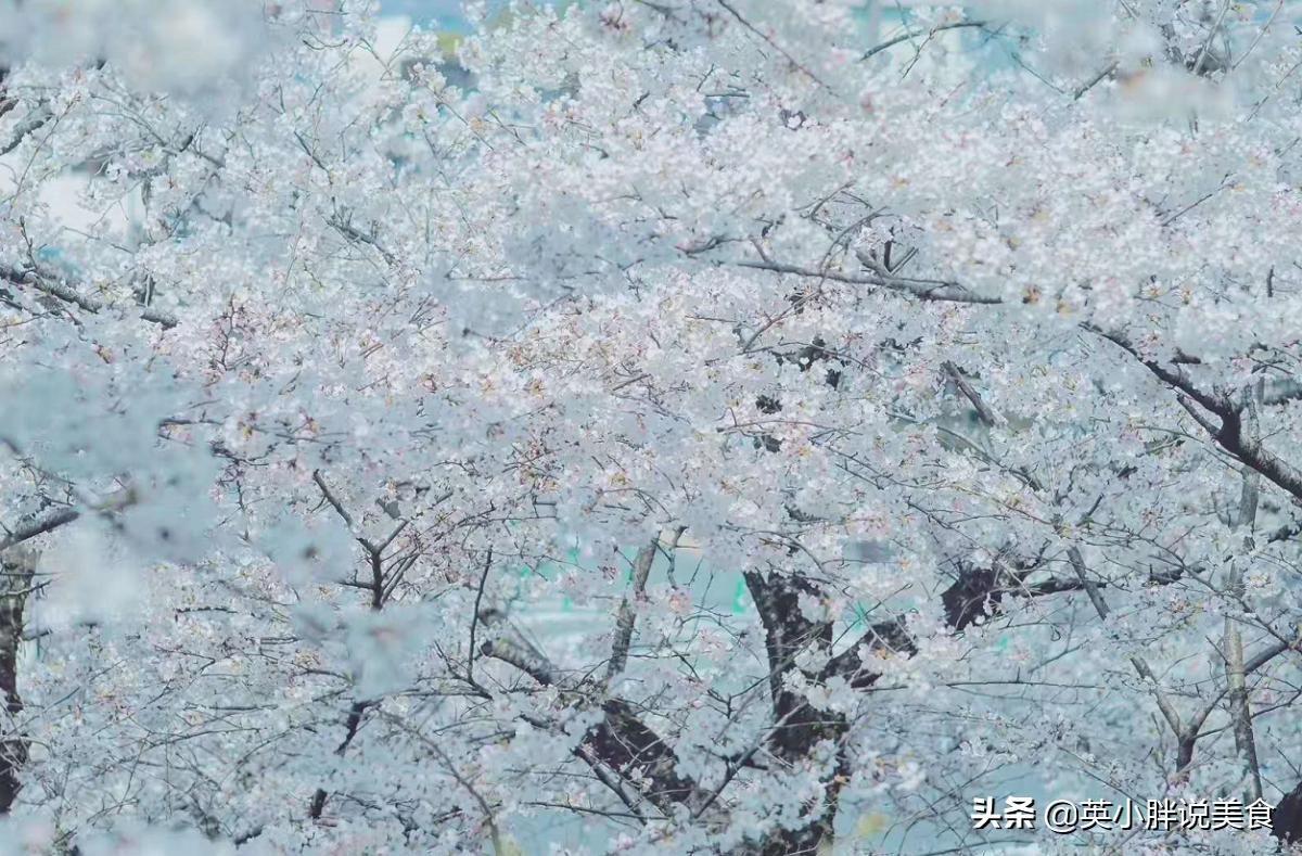 豪客来牛排推荐,豪客来牛排试吃