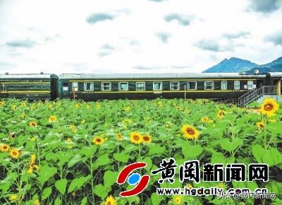 壮丽70年奋斗新时代的相关资料,壮丽70年奋斗新时代图文