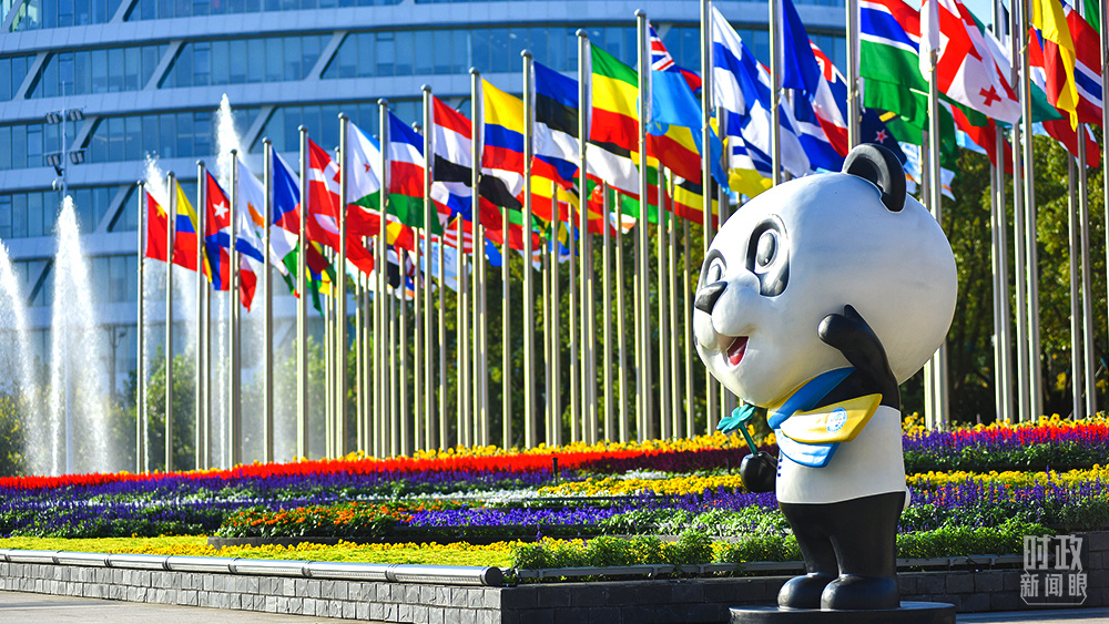 十九届六中全会决议公报,十九届六中全会通过的两重大决议