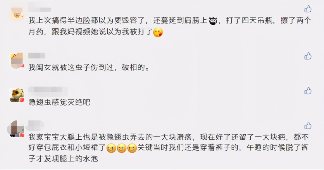 3岁女儿被毒虫“咬一口”差点毁容:这套实用防虫手册,记得收藏