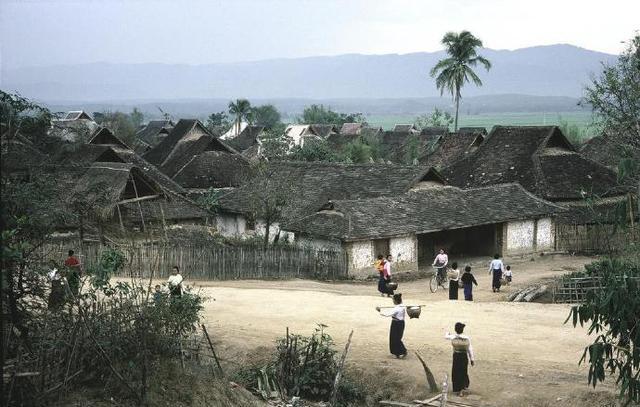 西双版纳简介是在哪里,西双版纳植物园概况