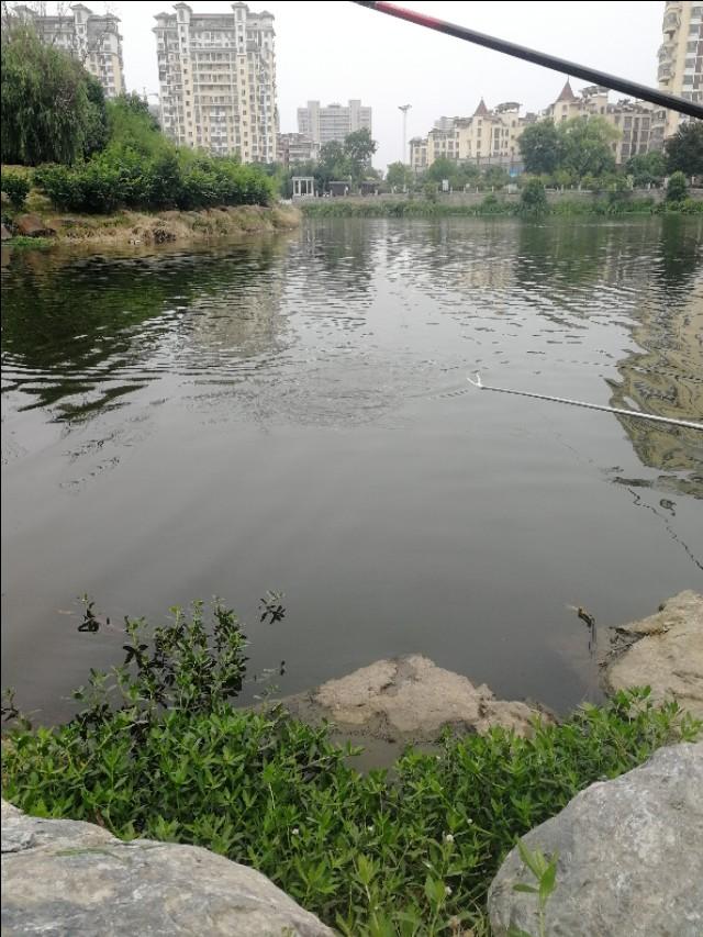 鱼不咬钩并不怕，只要记住这几条，变被动为主动