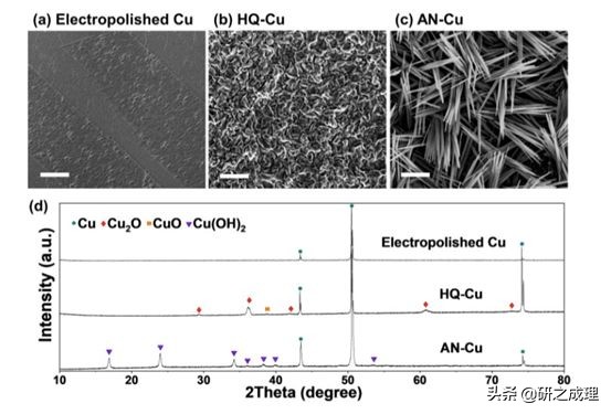 鍌寲蹇姤鏈熷垔,鍌寲鏉傚織灏侀潰