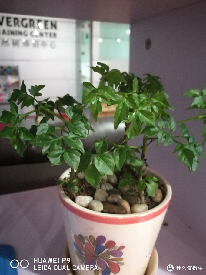 华为p9最新伦敦发布,华为p9真机曝光