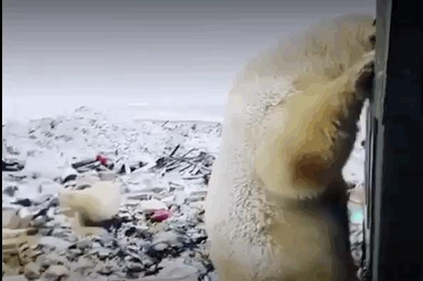 上海现在垃圾分类怎么样了,上海垃圾分类目前的现状