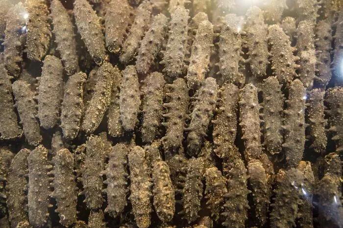 海外华人回家过年千万别带这些*禁品违**,一不小心就成了“*私走**”