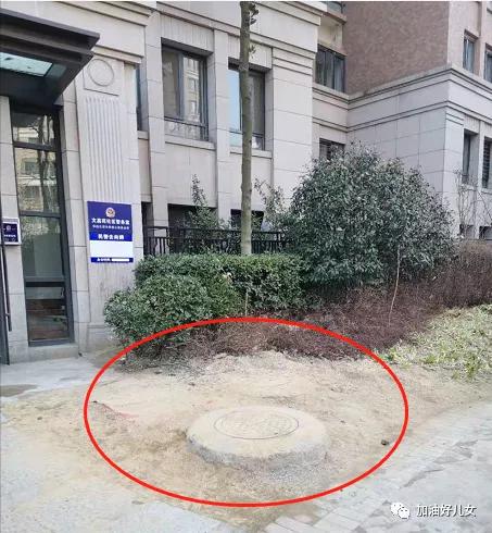 吾家创意大神：小伙是也