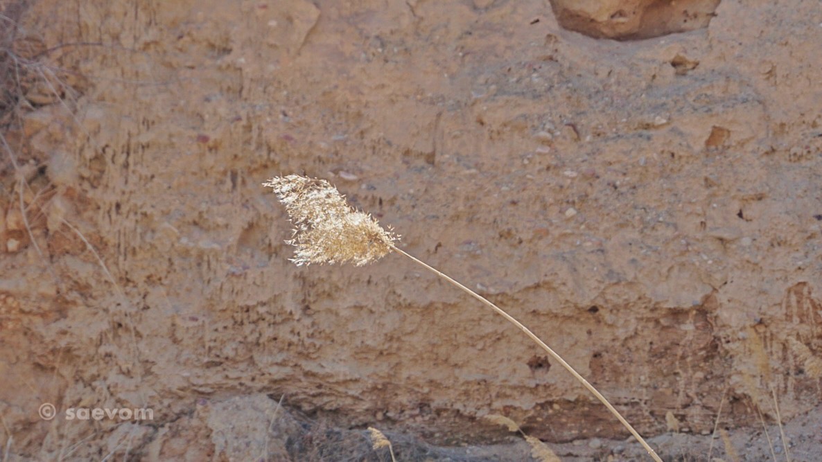 宁夏腾格里沙漠游玩攻略,宁夏沙漠旅行攻略