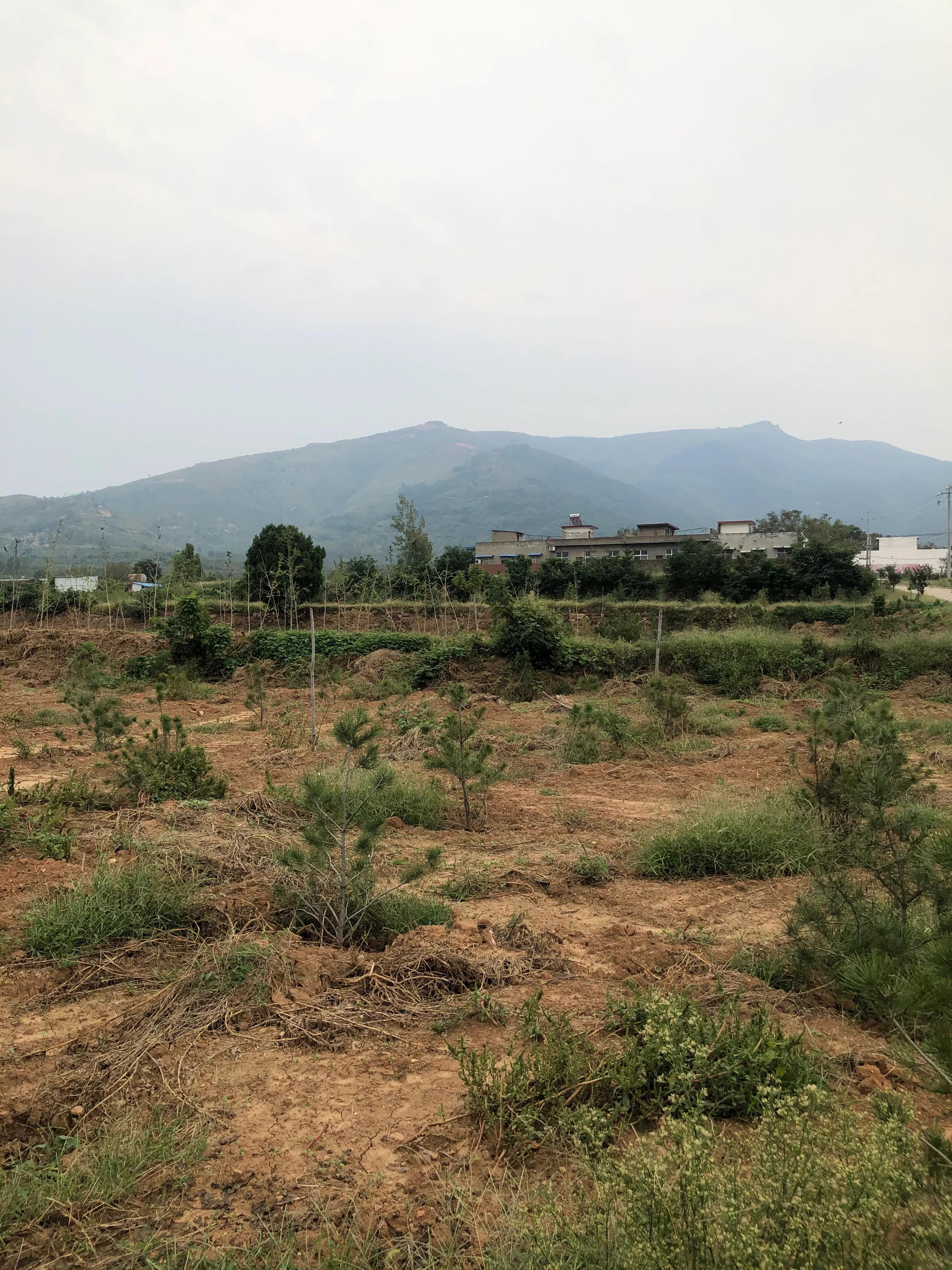 河南洛阳万安山,洛阳远眺万安山