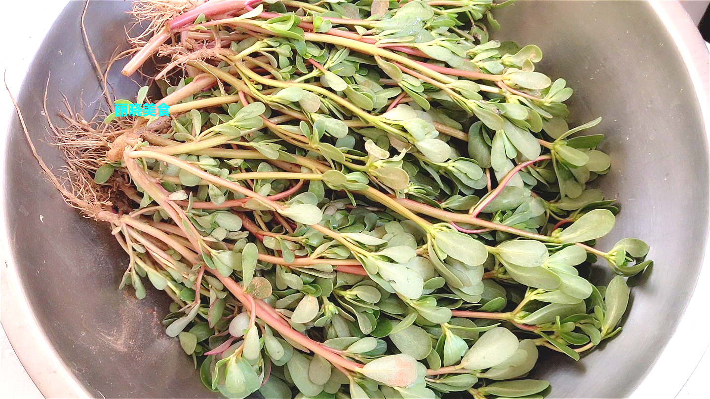 马齿苋几种吃法健康又美味,美食教程马齿苋新吃法