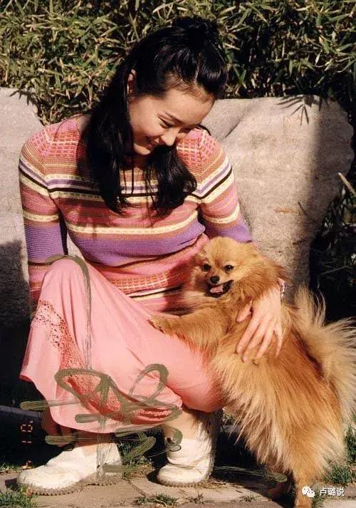 小燕子被罚，紫薇被骂，金锁被税…她们为何屡陷争议？（二）