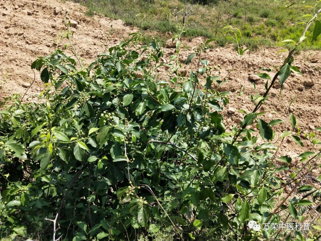 跟我回家在线免费看,跟我回家免费看