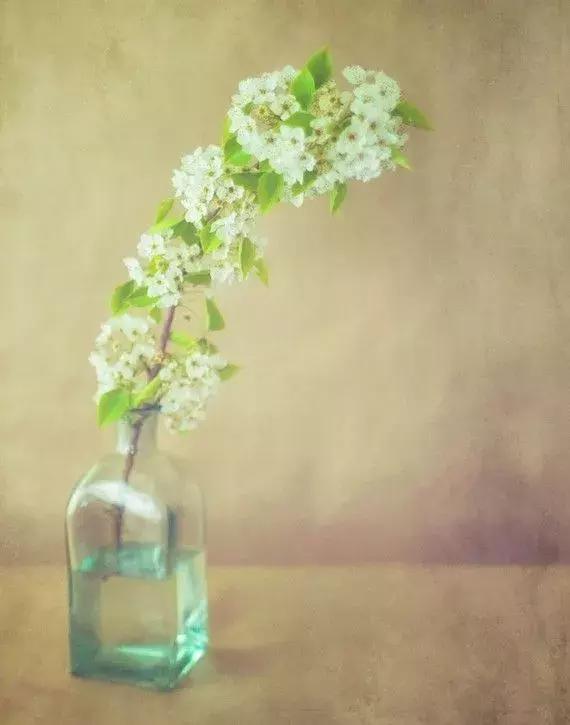 男人最大的修养是和家人和颜悦色,和颜悦色是最大的修养