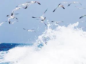 暑假有必要报网课吗,寒假有必要报辅导班吗