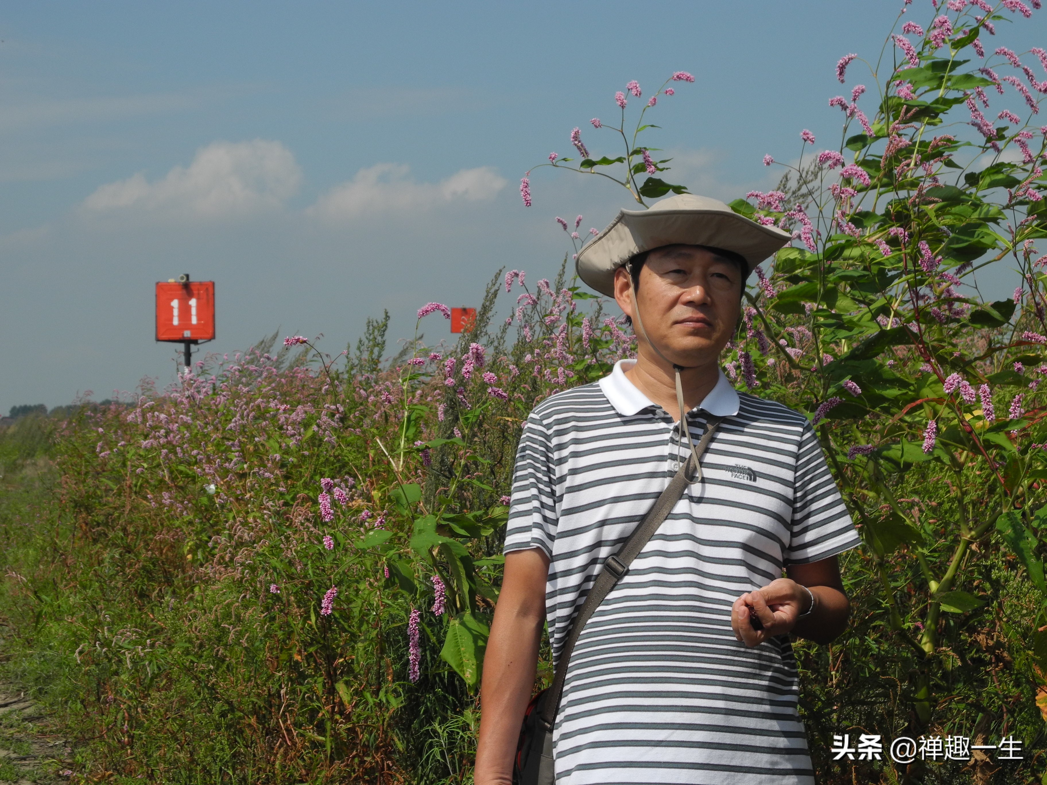 不是太阳岛!但大美湿地却都有一个像太阳般美丽的名字