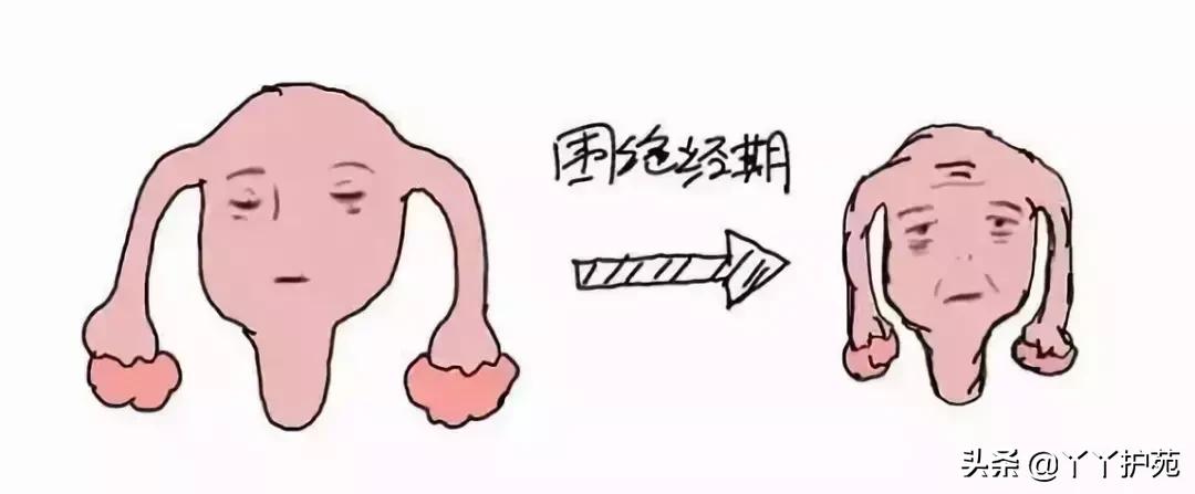 围绝经期综合征的药物治疗答案,围绝经期综合征最好的药物