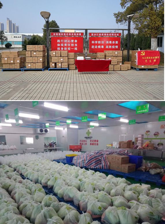 防疫情，促复工！看沙城工业园“双线作战”