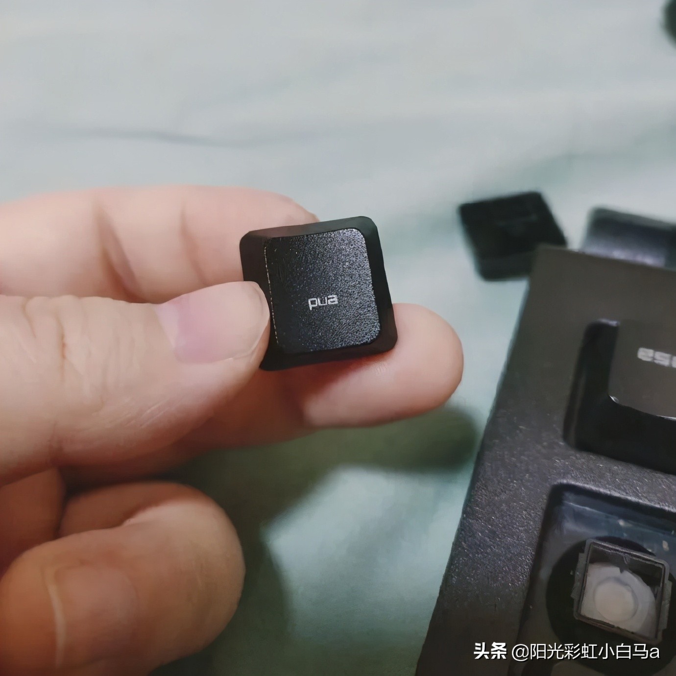 李英爱学腹语,2015韩国小姐李英爱腹语视频