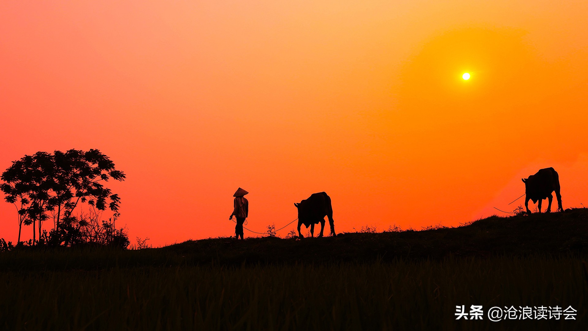 把生活过成诗打油诗,把生活过成一首诗优美短句