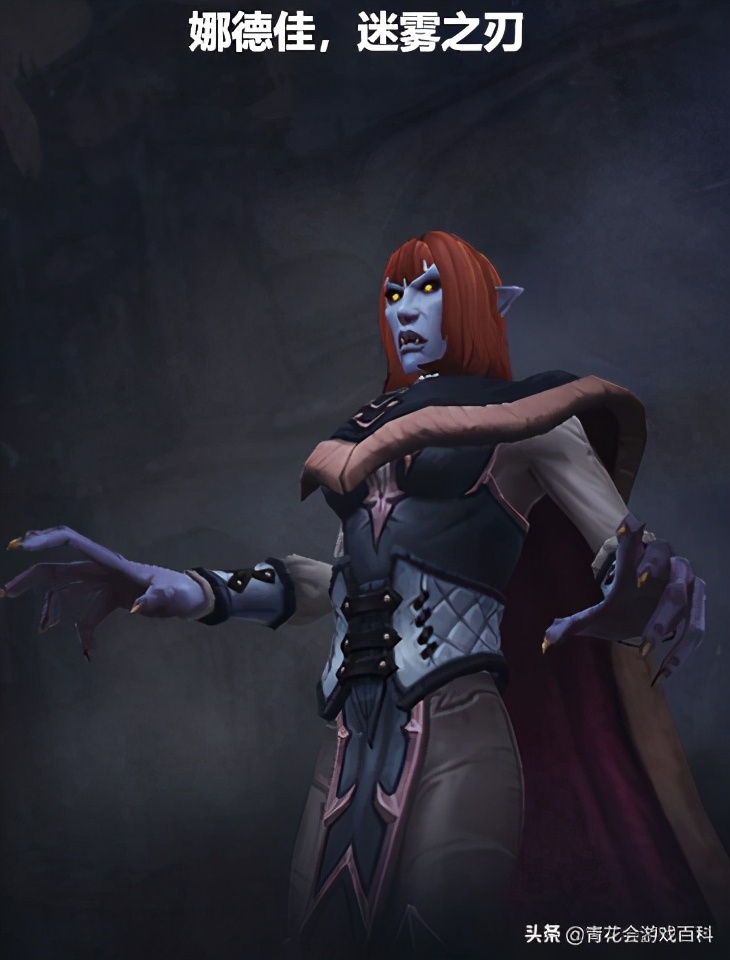 暗影国度武器战和狂暴战区别,暗影国度战士武器好还是狂暴好