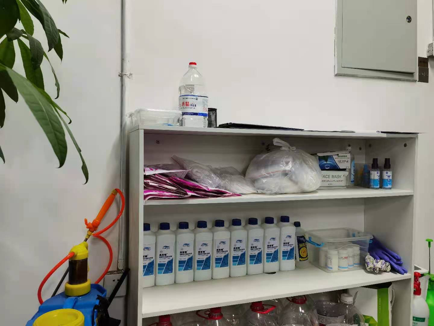 程序员真实故事,成都程序员一年工作经验