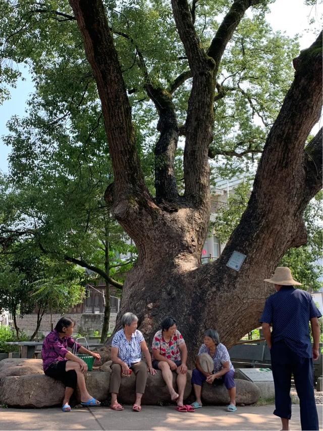 天下第一美景风水宝地,天下江山风景区