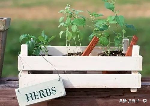 海子经典语录你说你很孤独,你说你很孤独海子原文