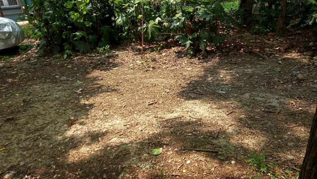 叙康里老房改造,叙康里130平四室两厅老房子翻修