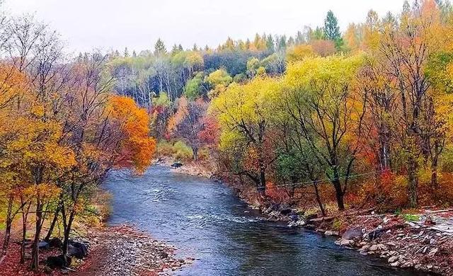 东北原始森林旅游景区,东北的一个美丽的小镇