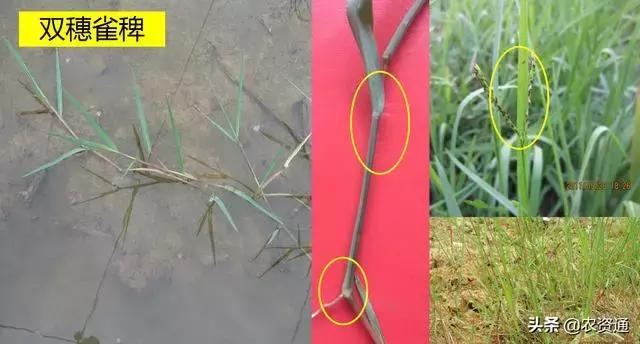 <html>
<head><title>502BadGateway</title></head>
<body>
<center><h1>502BadGateway</h1></center>
<hr><center>nginx</center>
</body>
</html>
<!--apaddingtodisableMSIEandChromefriendlyerrorpage-->
<!--apaddingtodisableMSIEandChromefriendlyerrorpage-->
<!--apaddingtodisableMSIEandChromefriendlyerrorpage-->
<!--apaddingtodisableMSIEandChromefriendlyerrorpage-->
<!--apaddingtodisableMSIEandChromefriendlyerrorpage-->
<!--apaddingtodisableMSIEandChromefriendlyerrorpage-->
