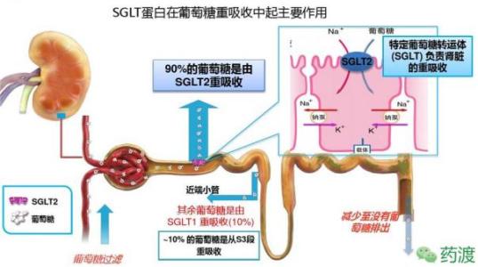 糖尿病合并哪种降压药好,糖尿病合并高血压首选降糖药