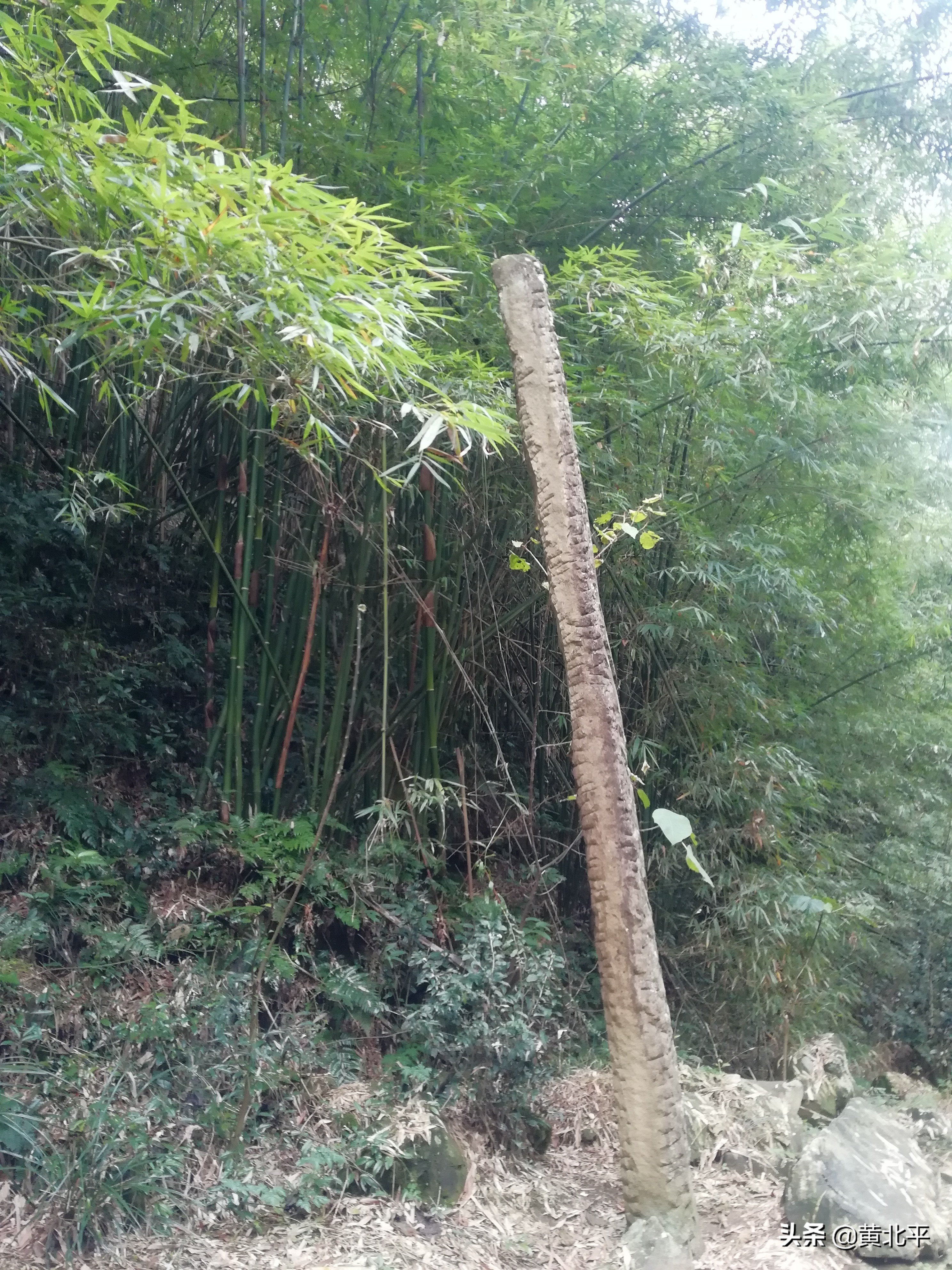 重庆爬山健身步道,重庆主城下雨都可以健身的步道