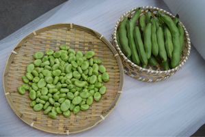 什么是蚕豆病，得了蚕豆病不能吃什么？