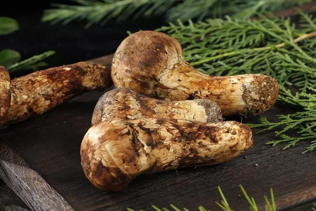 长白山冬天天池值得去吗,去长白山旅游都看什么