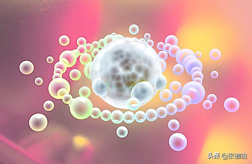 NO：4.蛋*粉白**到底能不能吃？这么说，一下就看懂了！