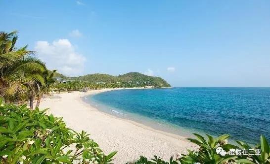 去三亚大东海,到三亚大东海住哪里好