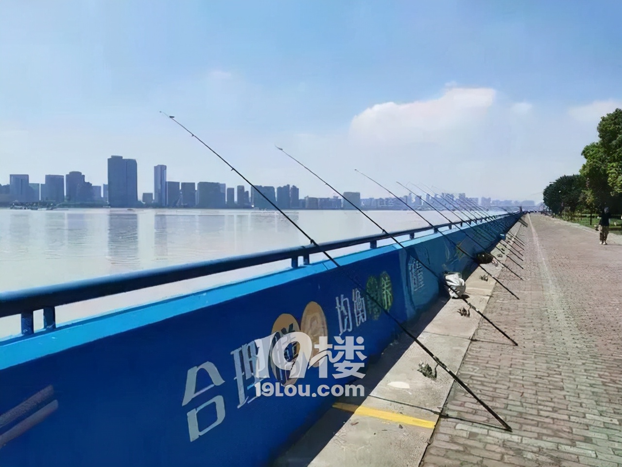 杭州西湖钓鱼被罚款,杭州市西湖钓鱼证