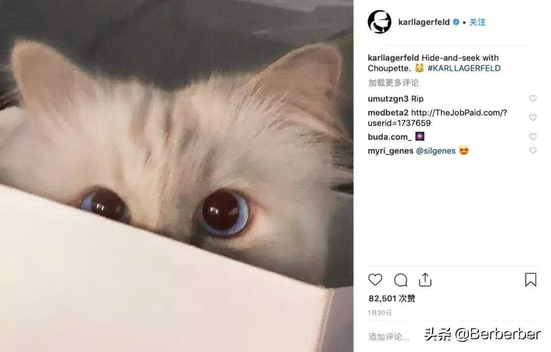 爱zuō、毒舌、抢好友的猫…这里有老佛爷15件不为人知的事！