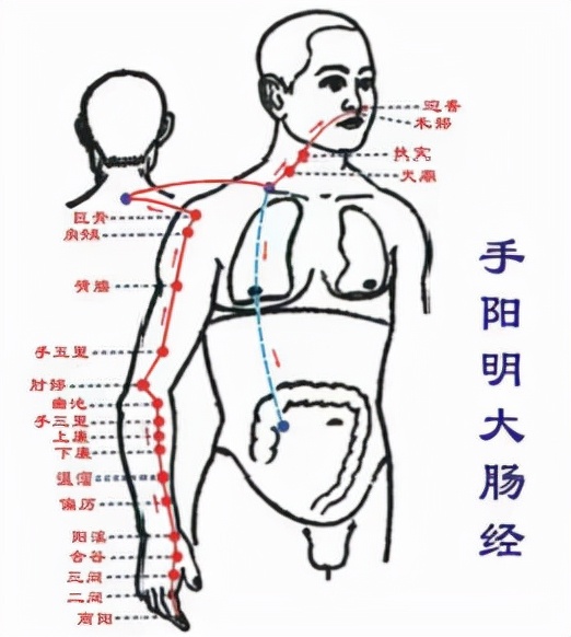​“肛”湖问道|几个小穴位，让你护肛有道