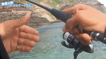 日本发现怪鱼,日本渔民岸边发现什么怪鱼了