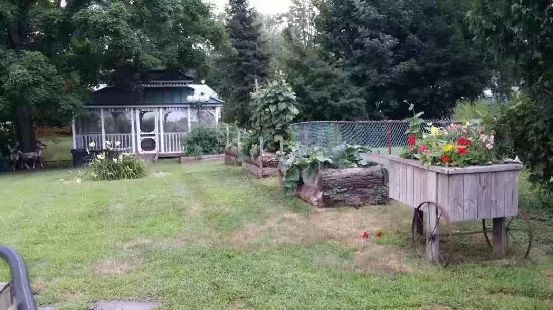 在国外当护士真的好吗,在美国做护士好找工作吗