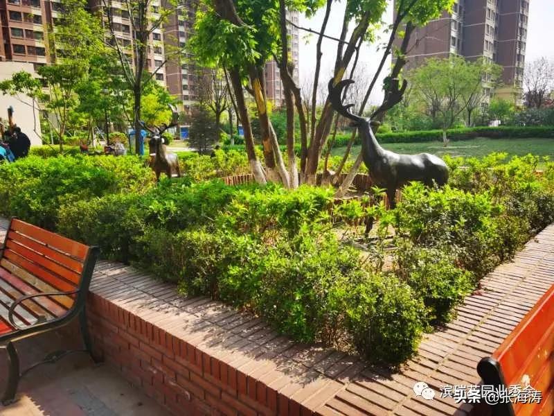 滨瑞花园业委会对星河物业滨瑞花园团队阶段工作的表扬