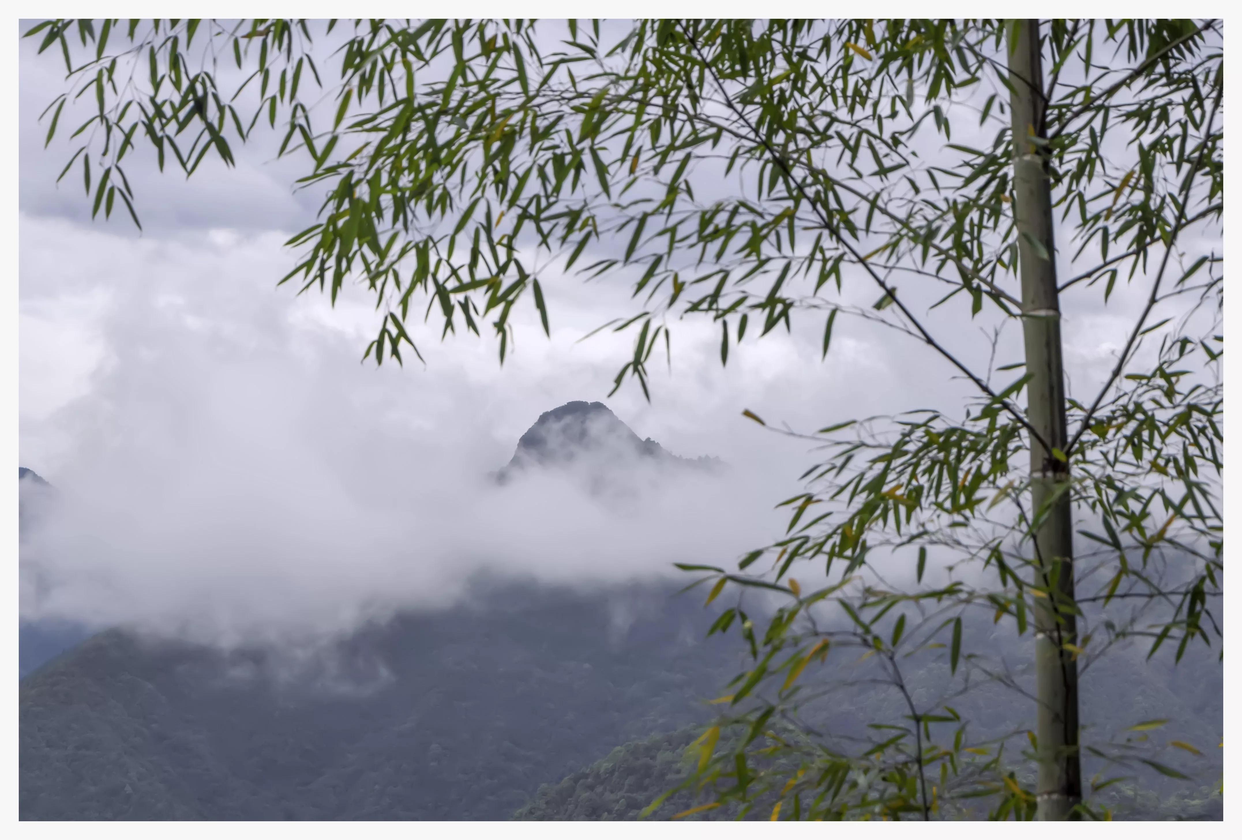 丽水遂昌深山秘境,遂昌姚岭山路