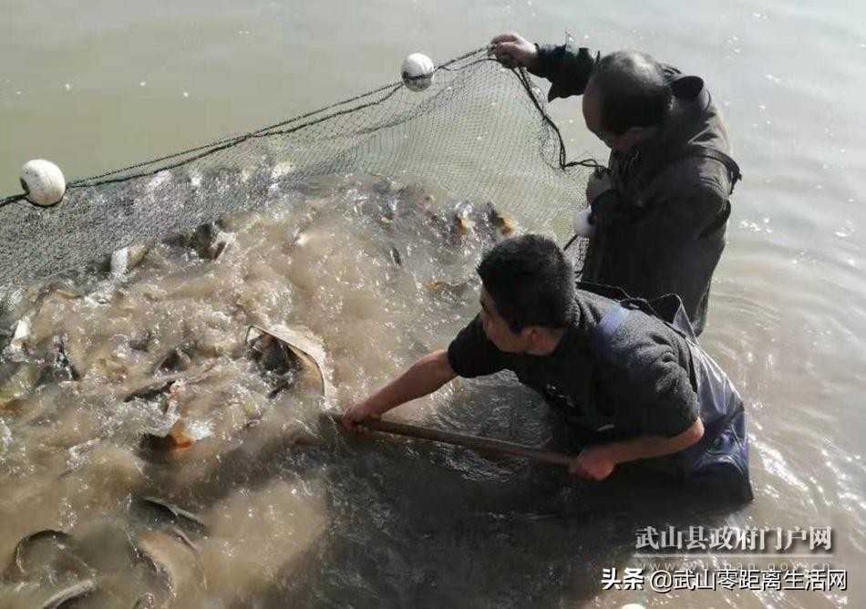 武山网红电商,武山网红电商推广