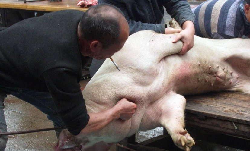 梦回丹阳之追忆原唱,梦回丹阳文旅