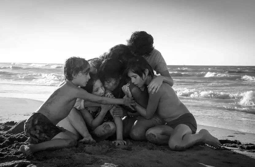 奥斯卡五年归来证明自己的实力,奥斯卡2020上榜名单