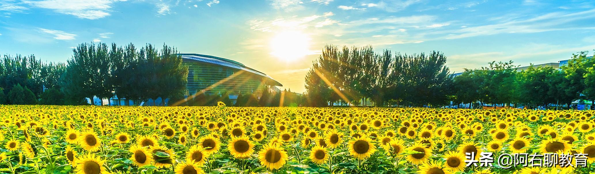 沈阳最低调的学校,沈阳最知名的大学