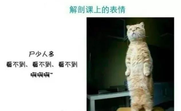 远离学医的女生,女朋友是学医的不要招惹她