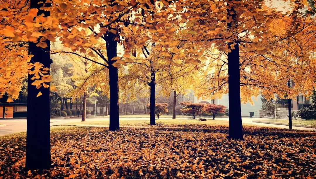 青年毛主席,榜首进一中!他曾就读的长沙市一中究竟有多牛?