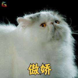 150斤面包服显瘦,面包服加直筒裤